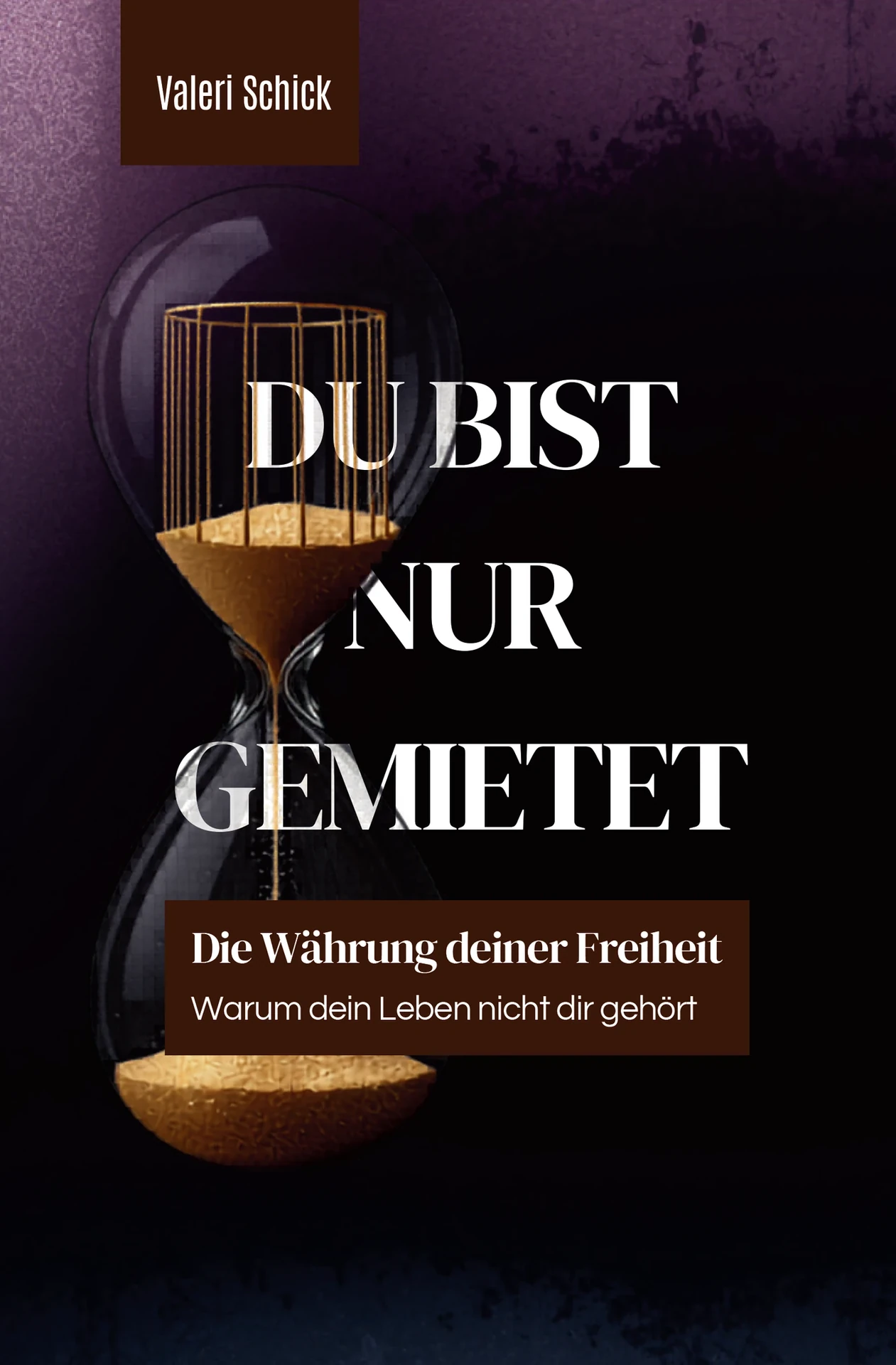 Originalcover des Buches Du bist nur gemietet von Valeri Schick
