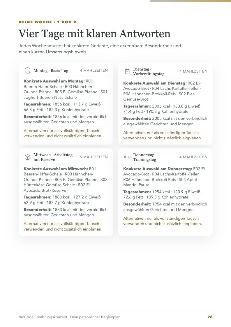 Original-Ernährungsplan aus BioCode: vier Tage eines synthetischen Beispielfalls