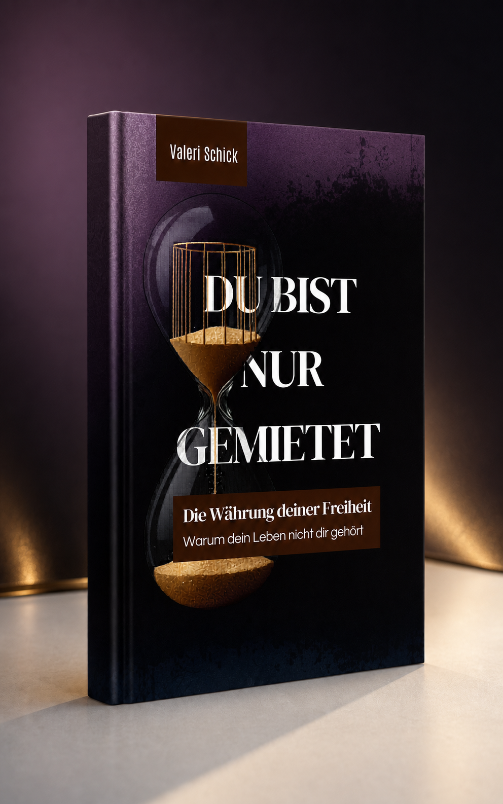Buchcover Du bist nur gemietet von Valeri Schick